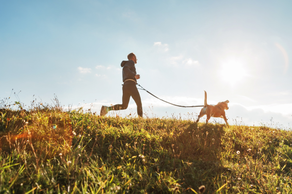 Os Melhores Exercícios para Manter seu Cão Ativo e Saudável