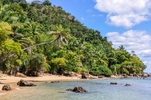 As Melhores Praias de São Paulo